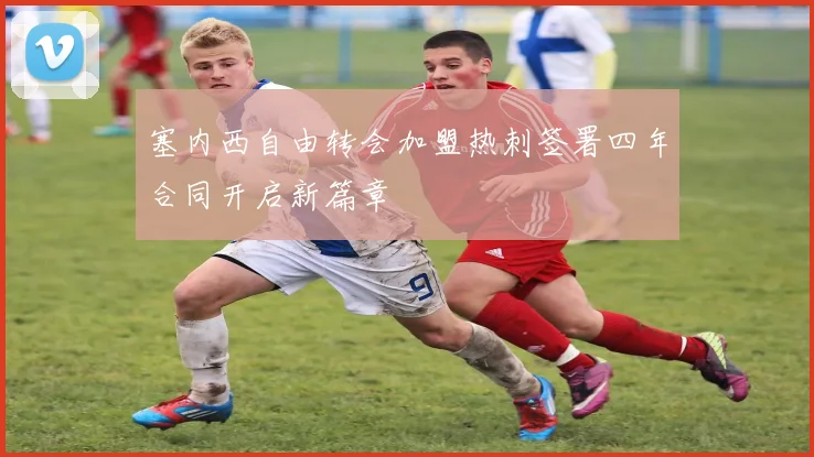 塞内西自由转会加盟热刺签署四年合同开启新篇章