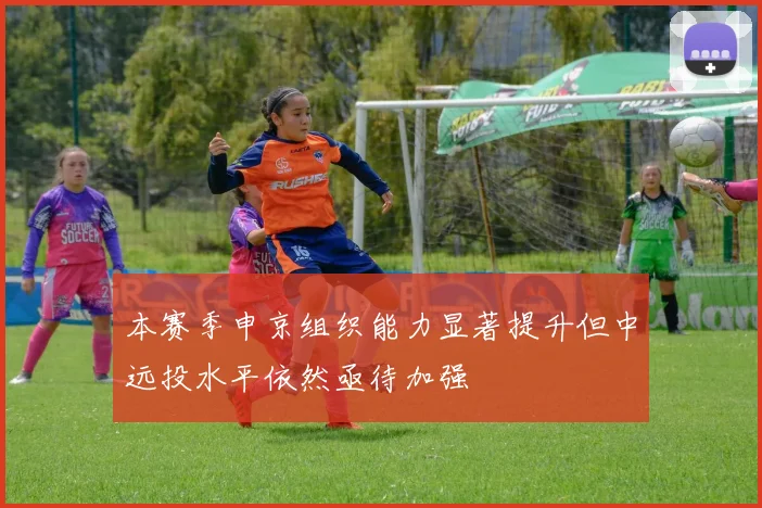 本赛季申京组织能力显著提升但中远投水平依然亟待加强